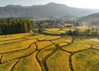 그린바이오 산업 경제적 효과 분석 미흡…“농산물 수요 특성 등 반영한 전략 필요”