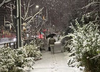 서울에 최대 19.1㎝ '눈폭탄'…제설 비상근무 2단계 격상하고 인력 1만명 투입