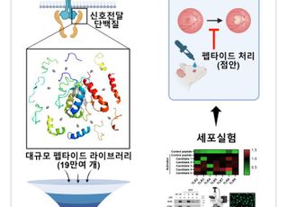 KIST, 점안 투여 가능한 새 건성 황반변성 치료 물질 개발