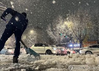 서울시 "폭설 내리면 출퇴근시간 전 제설제 살포 완료"