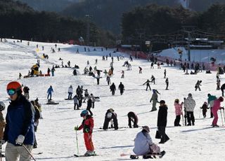 비발디파크 주변 스키·보드 렌탈료 ‘짬짜미’…공정위, 시정명령