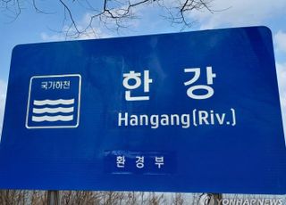 'Hangang River'냐 'Han River'냐…한강 영문표기 놓고 갑론을박