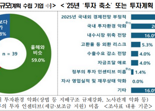 "대기업 68%, 내년 투자계획 없거나 아직 못정해"