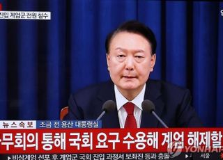 '비상계엄'…헌재 심판대에 오를까 [법조계에 물어보니 576]