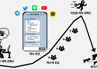 금융당국, SNS 리딩방 이용 선행매매 등 핀플루언서들 검찰에 고발