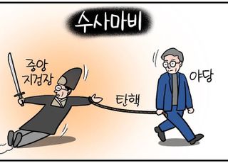 [D-시사만평] 사상 초유 감사원장·중앙지검장 탄핵·직무정지…'수사 마비' 우려