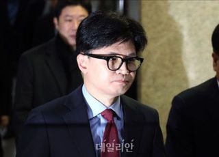 국민의힘, '질서 있는 퇴진' 위한 '정국안정·국정지원·법령검토TF' 구성