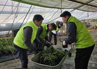 농협, 폭설 피해복구 일손돕기 실시