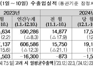 탄핵 정국 속 1~10일 수출 12.4%↑…국내외 불확실성 수출 영향 최소화 총력