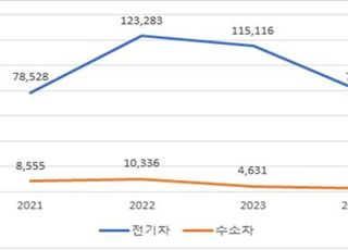 "2030년 전기차 420만대 보급 달성 불가…현실화해야"