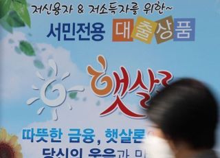 '서민 대출' 햇살론15·최저신용자특례 대위변제율 20% 넘어