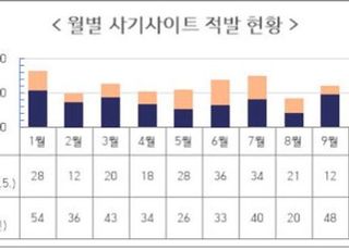 서울시 "올해 인터넷쇼핑몰 사기 피해액 33.6억…역대 최대"