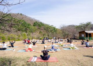 홍천 선마을에서 시작하는 새해…몸과 마음 위한 완벽한 리셋