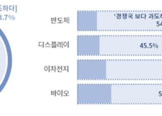 첨단기술 개발하면 뭐하나…후진적 K-규제에 발목