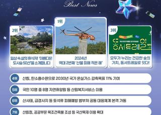 산림청 "올해 가장 관심 받은 뉴스로 역대 2번째 산불 피해가 적은 해 꼽혀"