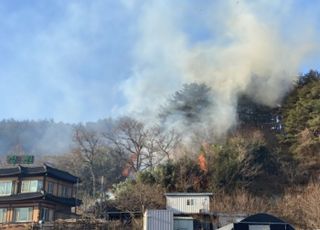 강원 양양서 산불 발생…1시간 14분 만에 진화