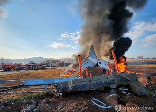 [속보] 전남 무안공항서 방콕발 제주항공 여객기 착륙 중 추락…"승객 175명·승무원 6명 등 181명 탑승"