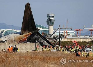 [속보] 소방청 "무안공항 항공기 사고, 96명 사망·2명 구조"