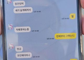 "새가 날개에 껴서…유언해야 하나" 추락 여객기 탑승객 마지막 문자