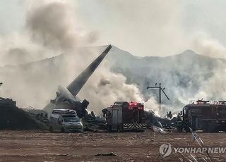 [제주항공 무안참사] 176명 사망·2명 부상·3명 실종