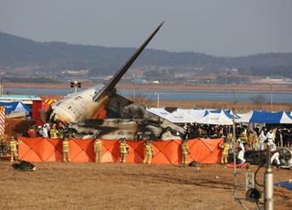 [제주항공 무안참사] 제주항공, 여객기 사고 발생에 주가 '급락'