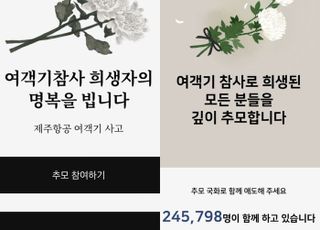 [제주항공 무안참사] 네이버·카카오, 온라인 추모 공간 마련