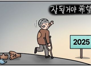 [D-시사만평] 다사다난했던 2024년 아듀…'잘 될 거야' 희망의 2025년 바라며