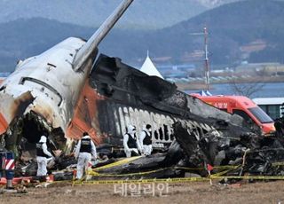 [데일리안 오늘뉴스 종합] 무안공항 설계 도대체 누가 했나?…해외전문가들 "활주로 끝 콘크리트 구조물 없었다면 전부 생존", [제주항공 무안참사] 김이배 대표 "경영진 거취 언급 시기상조...안전 대책 강구" 등