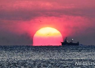 [오늘 날씨] "전국서 해돋이 관측" 을사년 새해 '낮 최고 11도'…지역별 일출 시간·해돋이 명소