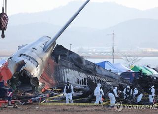 제주항공 무안공항 참사악성 게시글 70건 내사 착수