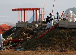 "무안공항 참사로 봐야…로컬라이저 둔덕, 참사의 근본 원인" [데일리안이 간다 116]