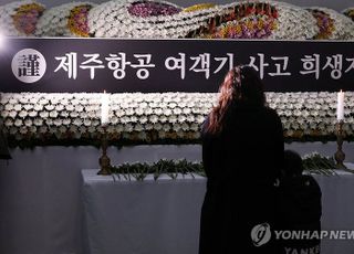 "부모가 벌 받았네" "가짜 유족"…무안참사 유가족 두 번 울리는 댓글·게시물