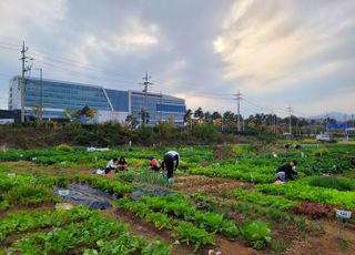 성남시 65세 이상 2090명에게 '실버텃밭' 무료 분양