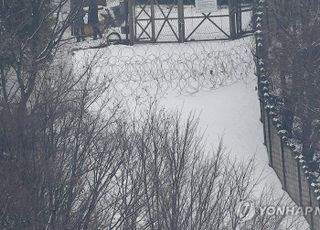 '尹 2차 체포작전'…경찰의 고민도 깊다