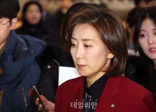 나경원 "野, 특검법으로 체제 흔들겠단 심산…민주당이야말로 외환죄 특검대상"