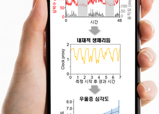 KAIST, 웨어러블 기기로 우울감 등 관련 증상 예측 기술 개발