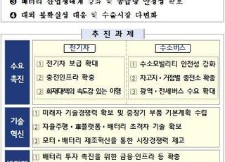 전기차 보조금 개편·조기 집행 통해 캐즘 해소…이차전지 정책 금융 8조 지원