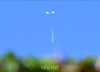 尹 체포 관련해 "괴뢰 한국 혼란" 외치는 北, 속내는