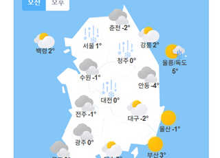 [내일날씨] 평년보다 포근한 '대한'…전국 흐리고 눈·비