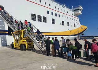 해수부, 설 연휴 연안여객선 운항 확대…예비선 5척 추가