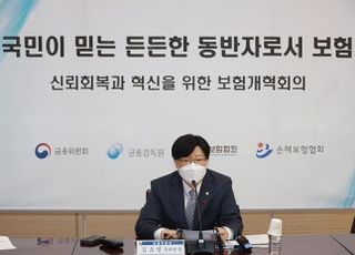 보험사도 CEO 승계 계획 마련한다…지배구조 개선 방안 마련