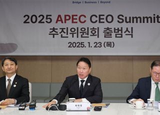 최태원 "APEC CEO 서밋 성공으로 대한민국 굳건함 알리겠다"