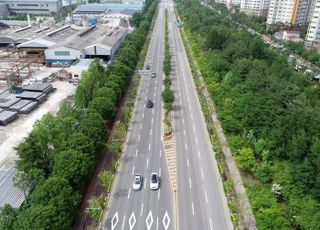 '미세먼지 흡수 효과'…산림청, 17개 시도에 도시숲 197곳 조성 계획