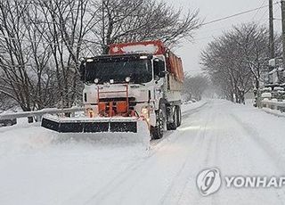 '최대 30㎝ 폭설' 중부지방, 항공기 결항·여객선 운항 중단