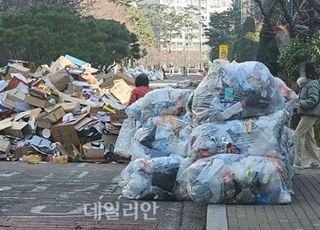 ‘산더미’ 명절 쓰레기, 똑 부러지는 분리배출로 깔끔하게 마무리