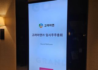 영풍·MBK, 고려아연 주총결의 효력정지 가처분 신청