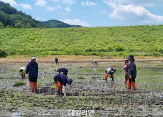 청년농업인 역귀농 막아야…“현실적 어려움 고려한 지원 확충돼야”