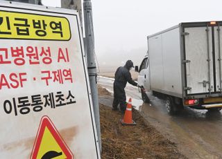 부안 육용오리 농장서 AI H5형 항원 검출…"고병원성 여부 확인 중"