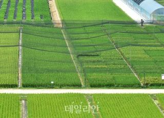 잦은 기상이변으로 먹거리 수급 불확실성↑…토지생산성 유지 등 관리 대책 필요