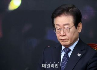 여당 군불 땐 '이재명 공약' 개헌…野, 조기대선 눈앞 권력에 '모르쇠'